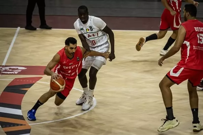 توقيت مباراة منتخب مصر ضد الكاميرون في ربع نهائي الأفروباسكت